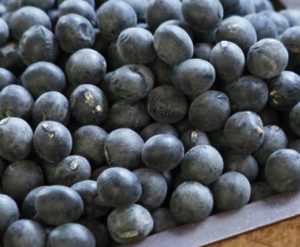 10月のうまいもん／丹波の黒大豆