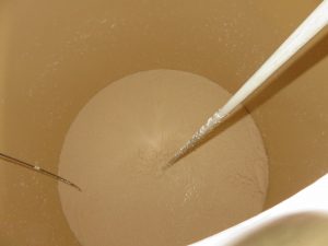 蔵の仕事｜上槽