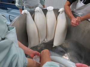 蔵の仕事｜袋吊り