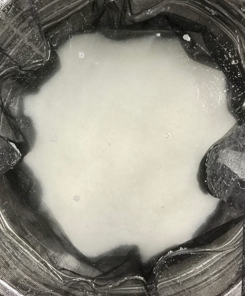 蔵の仕事｜大吟醸の仕込み