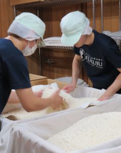 蔵の仕事｜大吟醸の麹造り