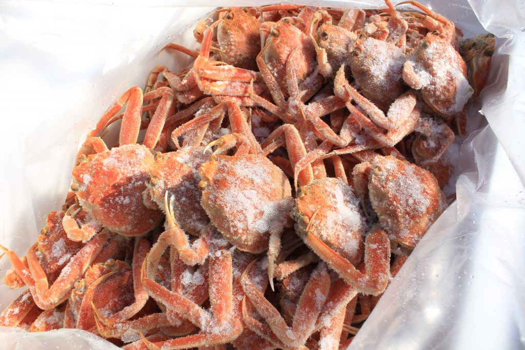 明日のイベント開催について｜香住柴山漁港海産物と兵庫のめぐみ市