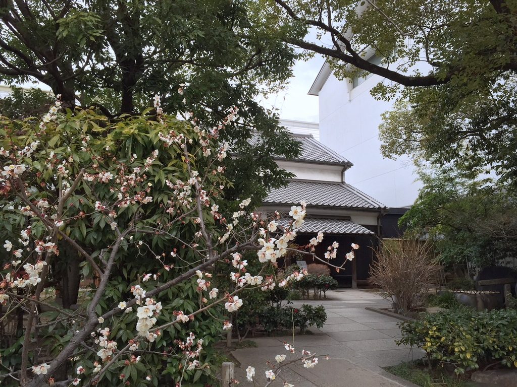 ＜3.3＞リニューアルオープンのお知らせ