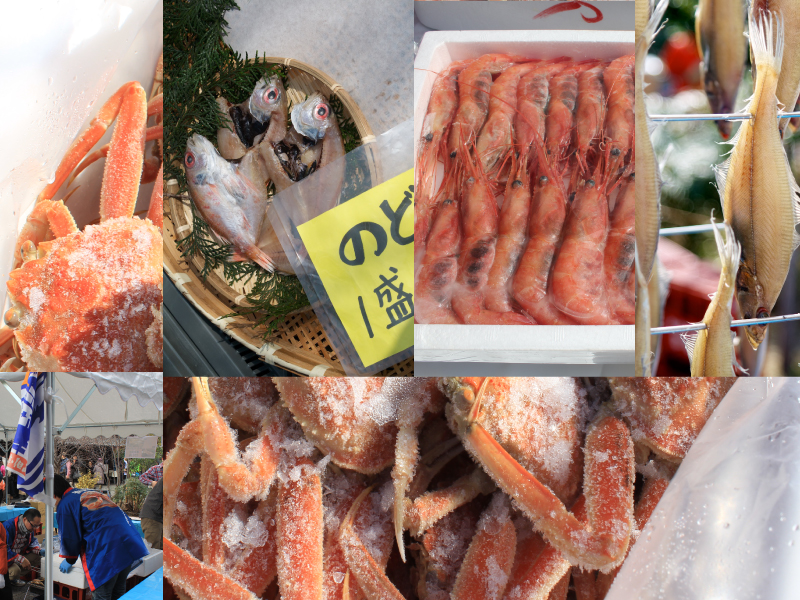 香住柴山漁港海産物と兵庫のめぐみ市