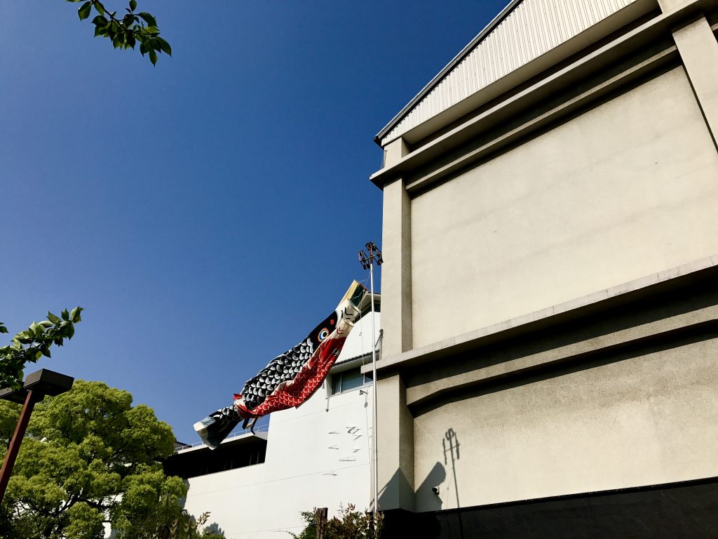 今年も「鯉のぼり」。