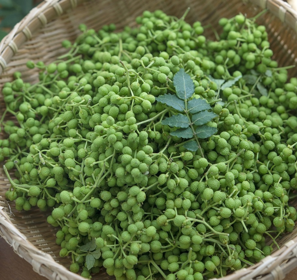 6月のうまいもん/山 椒