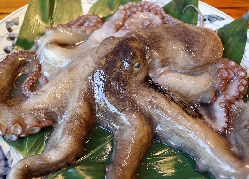 7月のうまいもん／明石ダコ