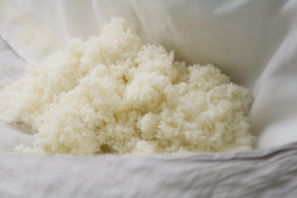 福寿蔵が動き始めました