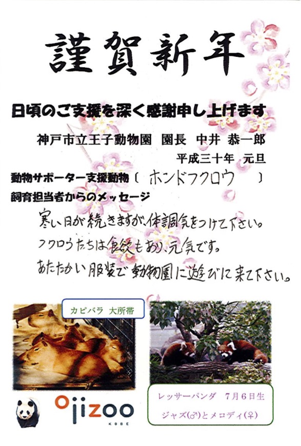 神戸市立王子動物園からのお便り