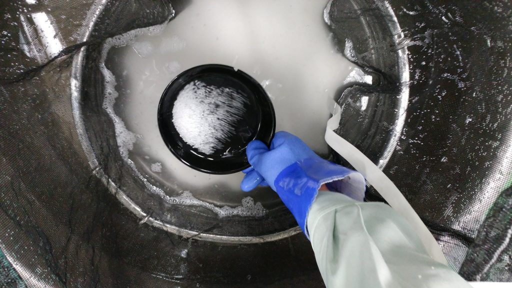 大吟醸の仕込みが最盛期をむかえています