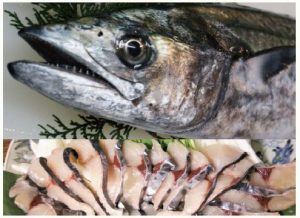 5月のうまいもん／瀬戸内の鰆