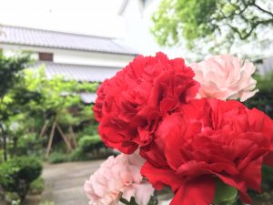 母の日、ご家族のお母様にお花をプレゼント