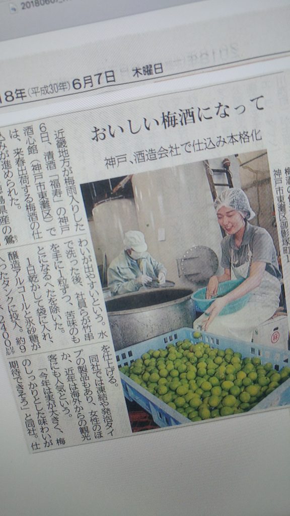 神戸新聞に取りあげていただきました