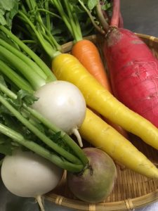 秋撮影お野菜