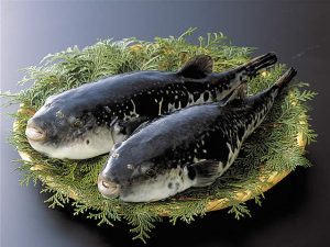 12月のうまいもん／淡路島三年とらふぐ