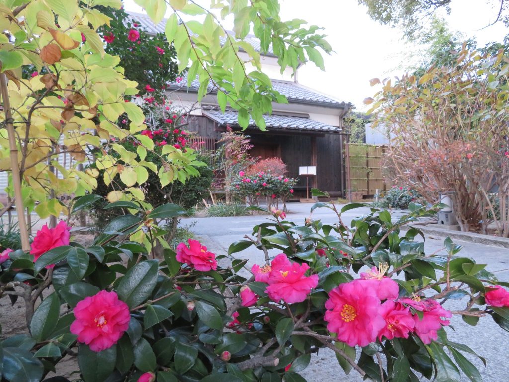 年末年始の営業についてのご案内（さかばやし）