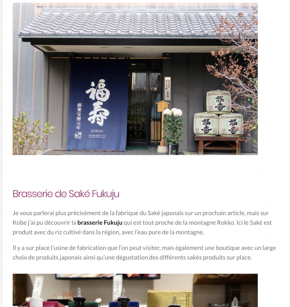 フランス人ブロガーに紹介いただきました