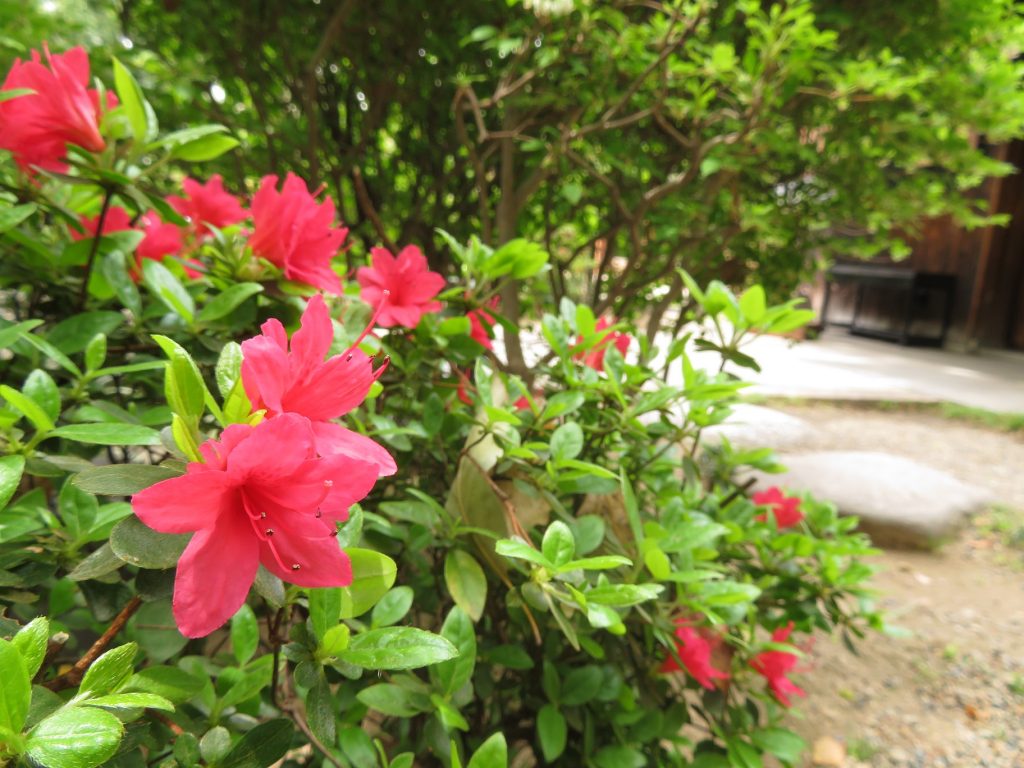 ゴールデンウィーク期間中のご案内