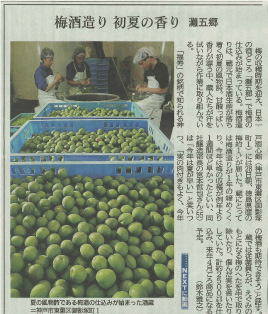 新聞各社で梅酒の仕込みの始まりをご紹介いただきました