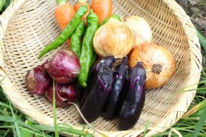 新登場！ 野菜で作る「ヴィーガン会席」