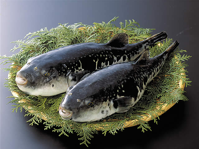 12月のうまいもん／淡路島三年とらふぐ