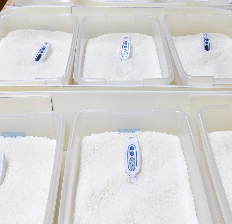 酒造りを通した持続性のある仕組みづくり  酒造りのイノベーション「たらい麹づくり」