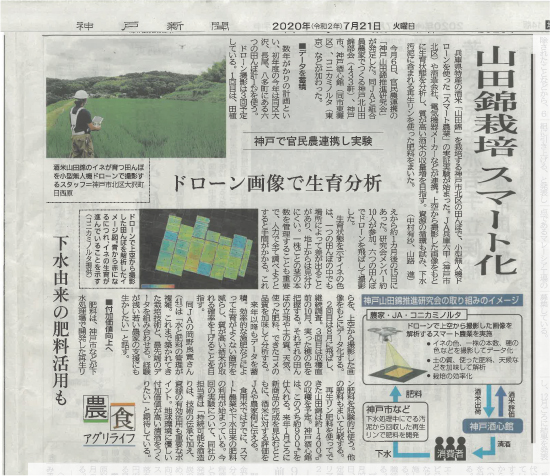 山田錦栽培 スマート化について神戸新聞で紹介されました