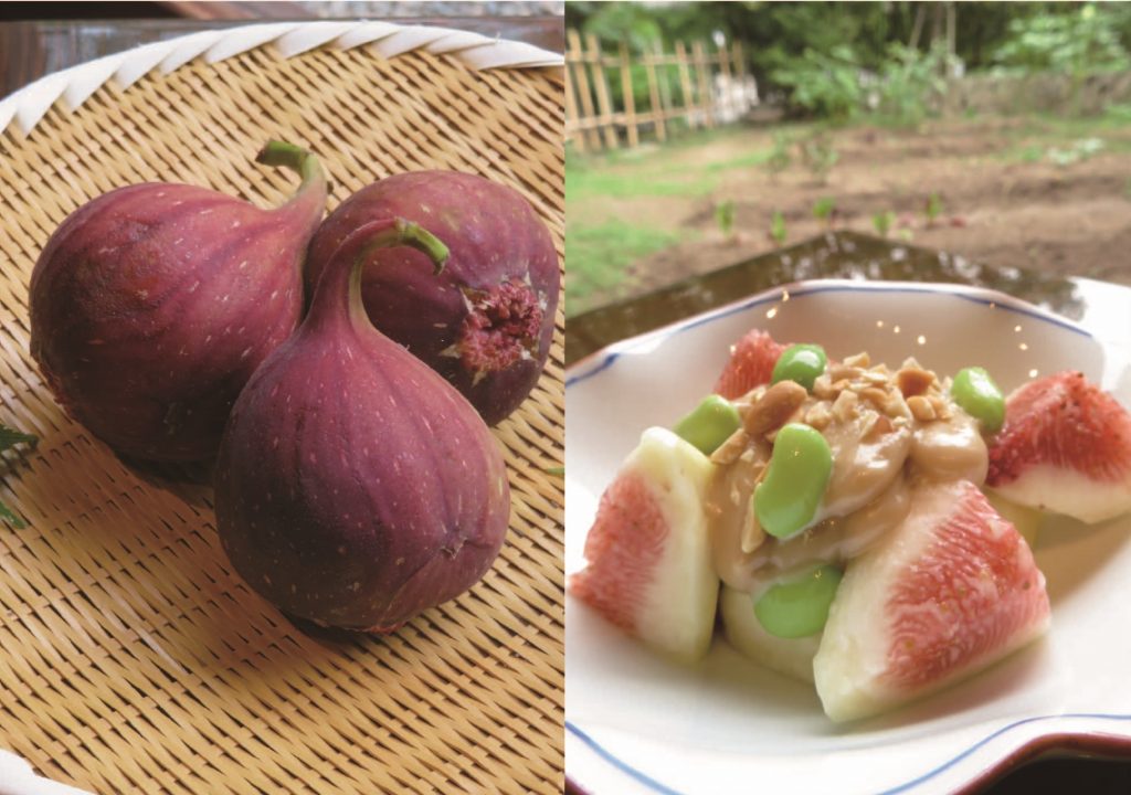 さかばやし_今月のうまいもん_無花果入稿用