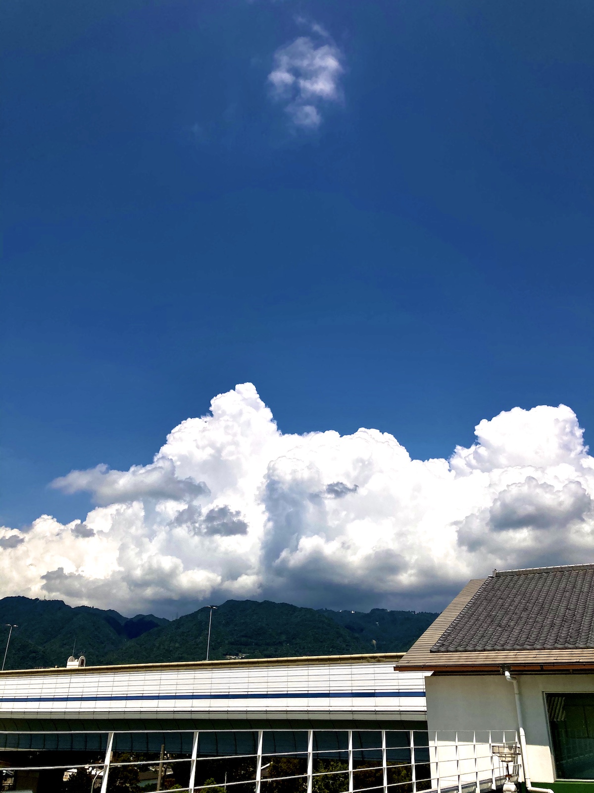 兵庫県緑化推進協会を訪問しました