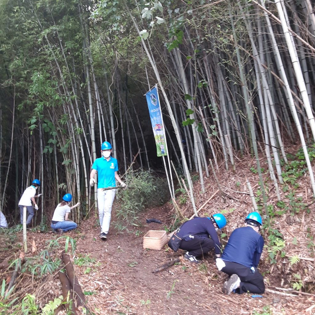 大沢地区にて植樹活動を行いました
