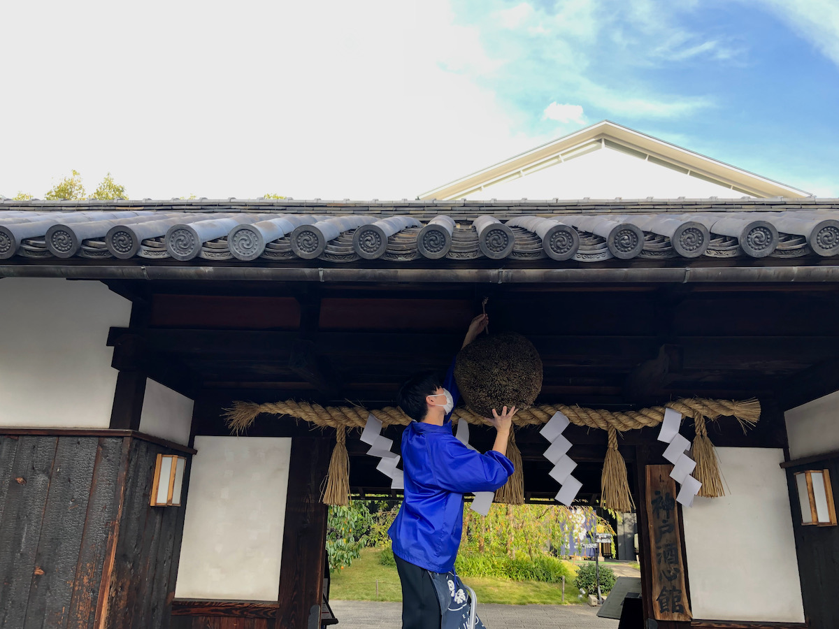 新酒の発売に合わせ「杉玉」をすげ替えました