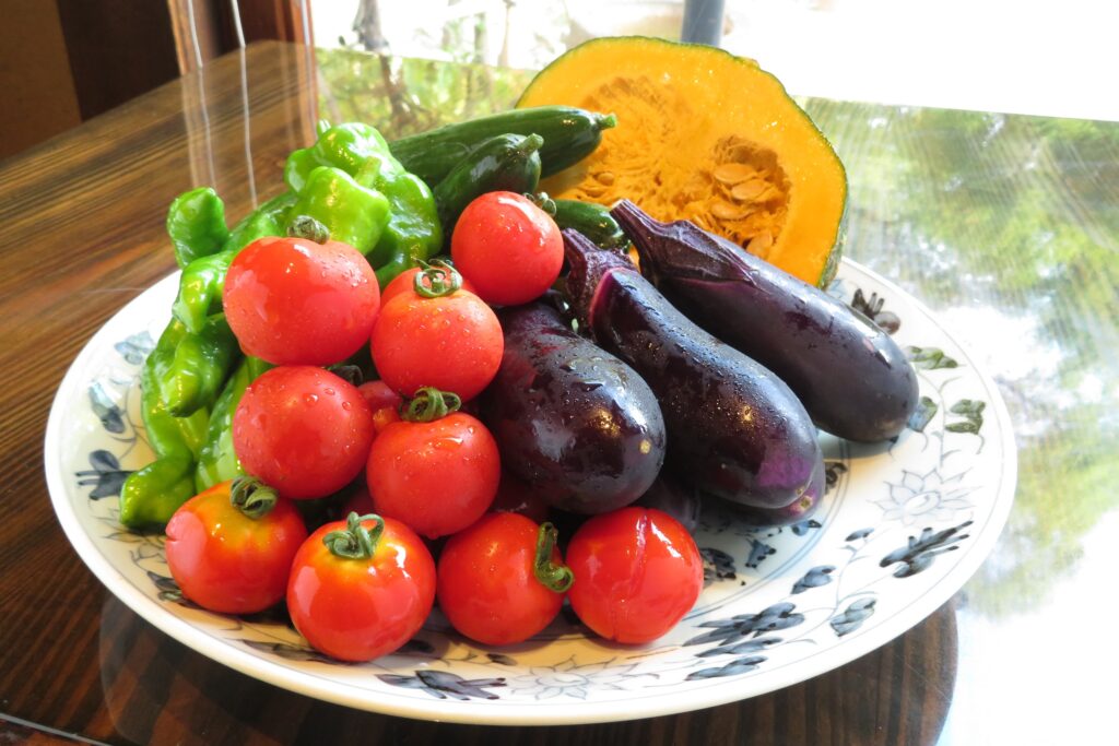 8月のうまいもん／婦木農場の夏野菜