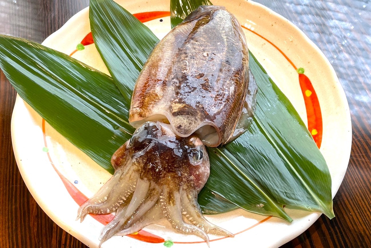 5月のうまいもん／烏賊（イカ）