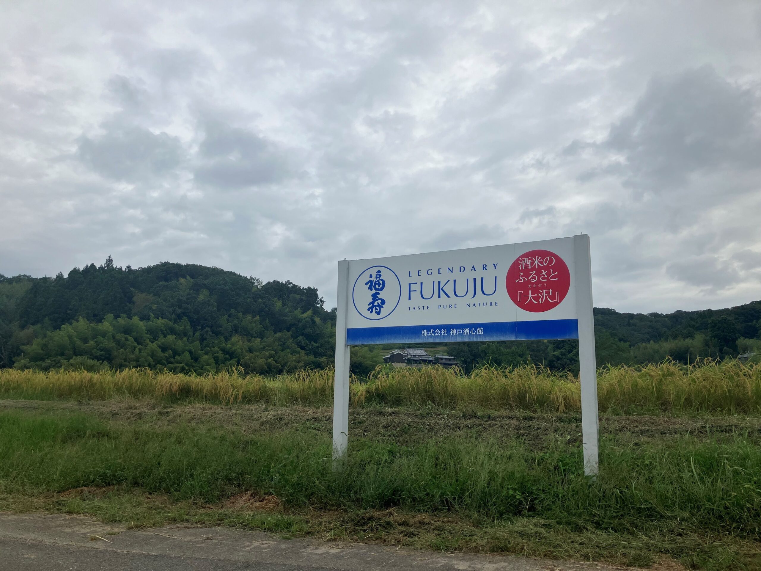 大沢で稲刈りを行いました（2024.10.26）