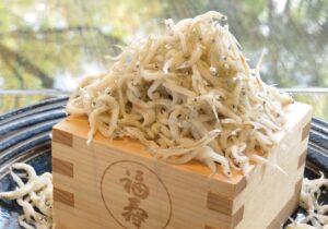 【5月】夜の会席料理