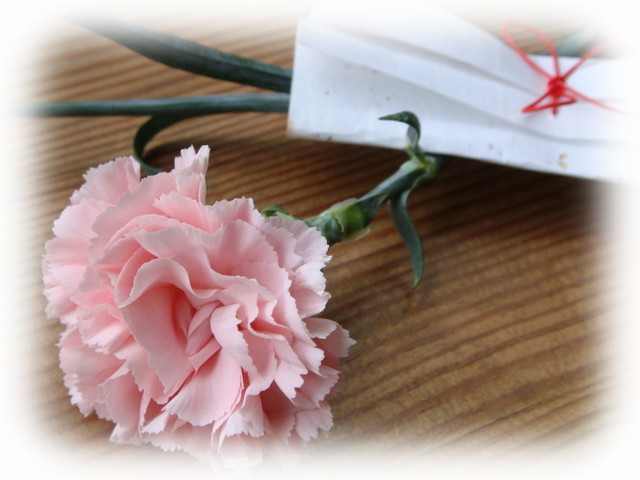 母の日にお花をプレゼント