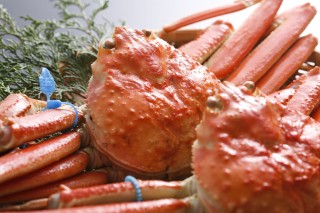 3.26 松葉かにとにごり酒を楽しむ会のご案内｜終了いたしました