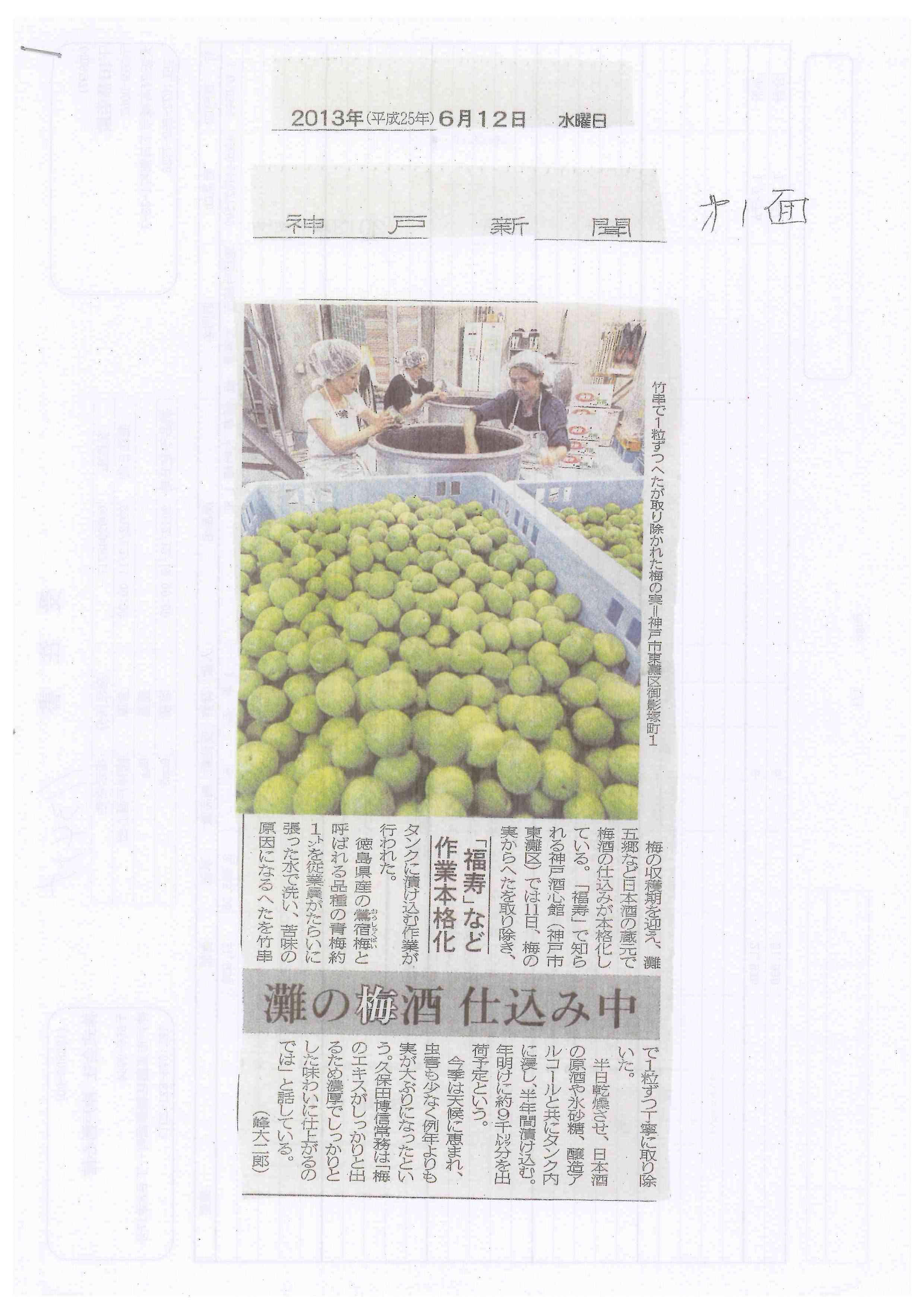 梅酒の仕込みが始まりました