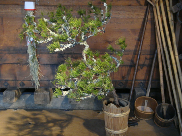 新年明けましておめでとうございます