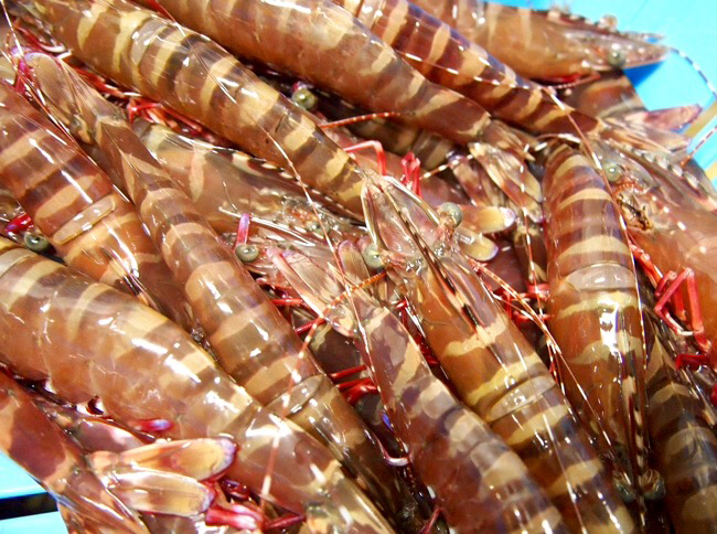 10月のうまいもん／足赤海老