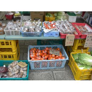 2011年6月新鮮野菜市のお知らせ