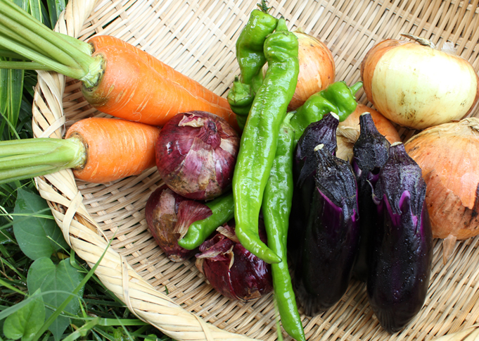 5月のうまいもん／丹波・婦木農場の有機野菜