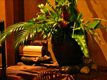 鈴虫の鳴き声で涼しさを♪