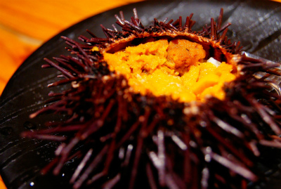 (2016.4.12）幻の由良の黒ウニと鰆のしゃぶしゃぶを味わう会