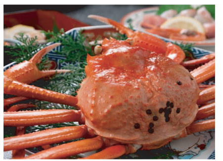 （2016.2.18)香住の紅ずわいがにと新酒を楽しむ会｜終了いたしました