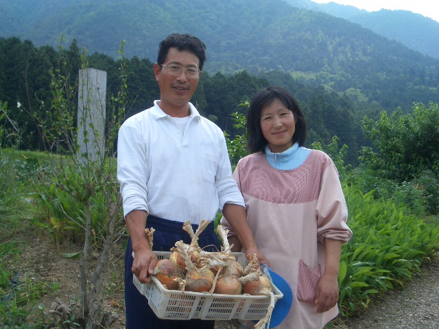 『とれたて夏野菜を楽しむ会』を開催します