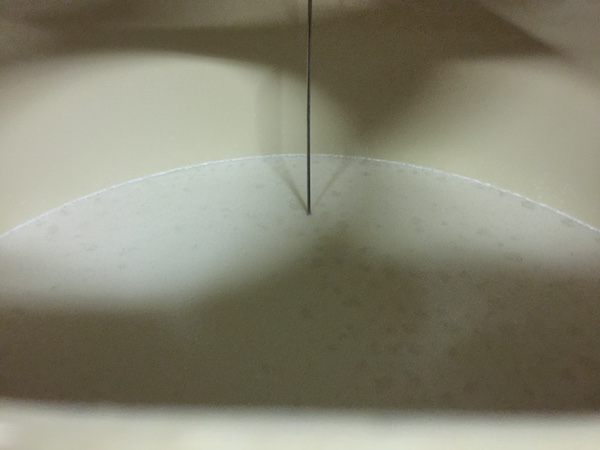 完全数量限定｜純米大吟醸「雫おり酒」生酒販売のお知らせ｜完売いたしました