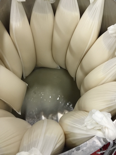 完全数量限定｜純米大吟醸「雫おり酒」生酒販売のお知らせ｜完売いたしました