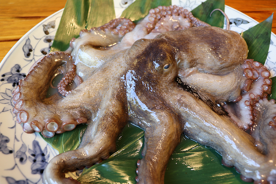 7月のうまいもん／全国にその名を轟かす逸品　明石ダコ