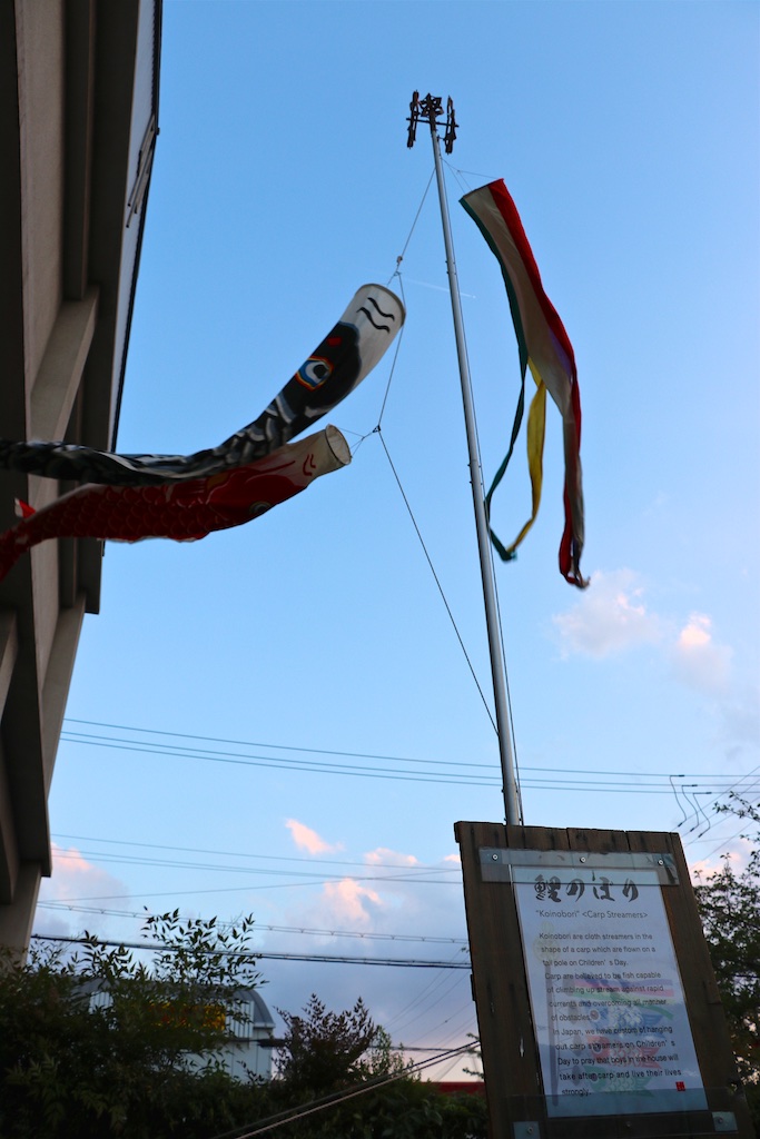 鯉のぼり